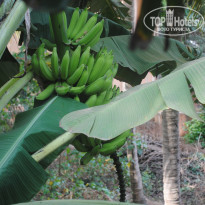 фото из отзыва ID 636204