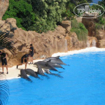 фото из отзыва ID 636297