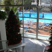 фото из отзыва ID 636386