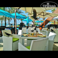 фото из отзыва ID 636444