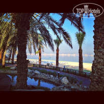 фото из отзыва ID 636444