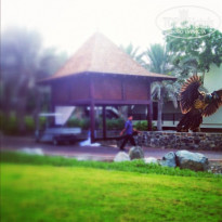 фото из отзыва ID 636444