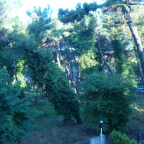 фото из отзыва ID 636487