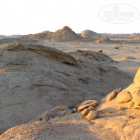 фото из отзыва ID 636120