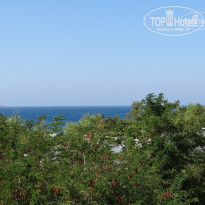 фото из отзыва ID 636994