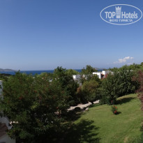 фото из отзыва ID 636994