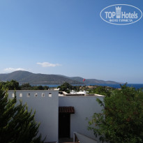 фото из отзыва ID 636994