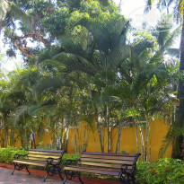 фото из отзыва ID 636212