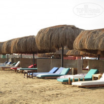 фото из отзыва ID 637068