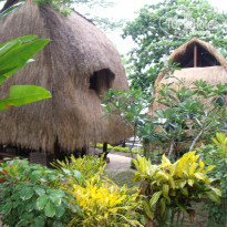 фото из отзыва ID 637170