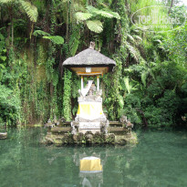 фото из отзыва ID 637170