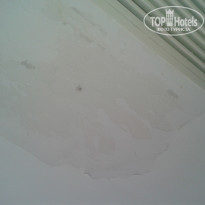 фото из отзыва ID 637247