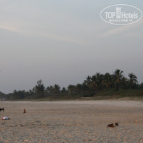 фото из отзыва ID 637500