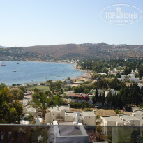 фото из отзыва ID 637826