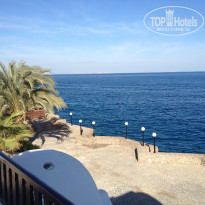 фото из отзыва ID 637952