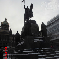 фото из отзыва ID 637975