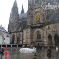 фото из отзыва ID 637975