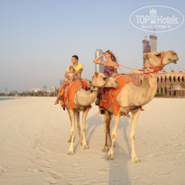 фото из отзыва ID 638078