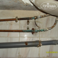 фото из отзыва ID 638283