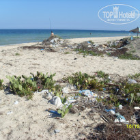 фото из отзыва ID 638283