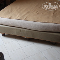 фото из отзыва ID 638343