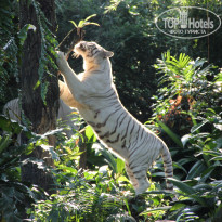 фото из отзыва ID 638351