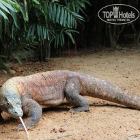 фото из отзыва ID 638351