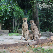 фото из отзыва ID 638351