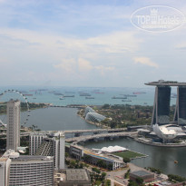 фото из отзыва ID 638351