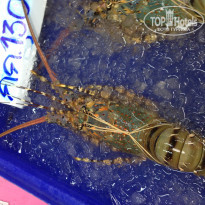 фото из отзыва ID 638605