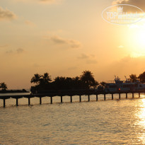 фото из отзыва ID 638854