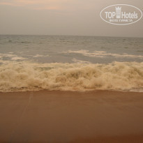 фото из отзыва ID 638887