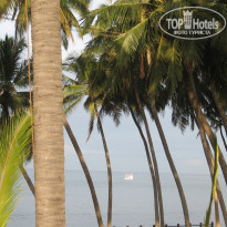 фото из отзыва ID 638887