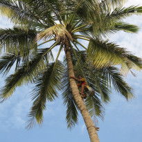 фото из отзыва ID 638887