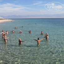 фото из отзыва ID 638852