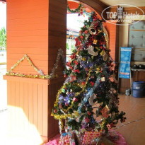 фото из отзыва ID 639035