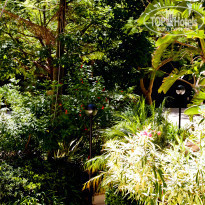 фото из отзыва ID 639284