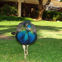 фото из отзыва ID 639297