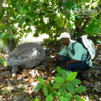 фото из отзыва ID 639550