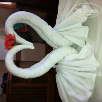 фото из отзыва ID 639587