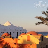 фото из отзыва ID 639717