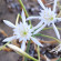 фото из отзыва ID 639876