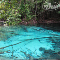 фото из отзыва ID 639879