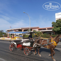 фото из отзыва ID 640026