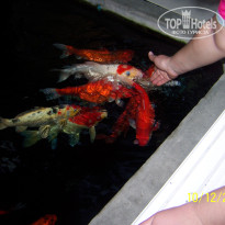 фото из отзыва ID 640169