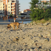 фото из отзыва ID 640312