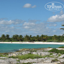 фото из отзыва ID 640465