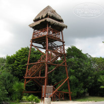 фото из отзыва ID 640465