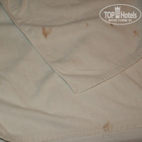 фото из отзыва ID 640507