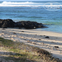 фото из отзыва ID 640494